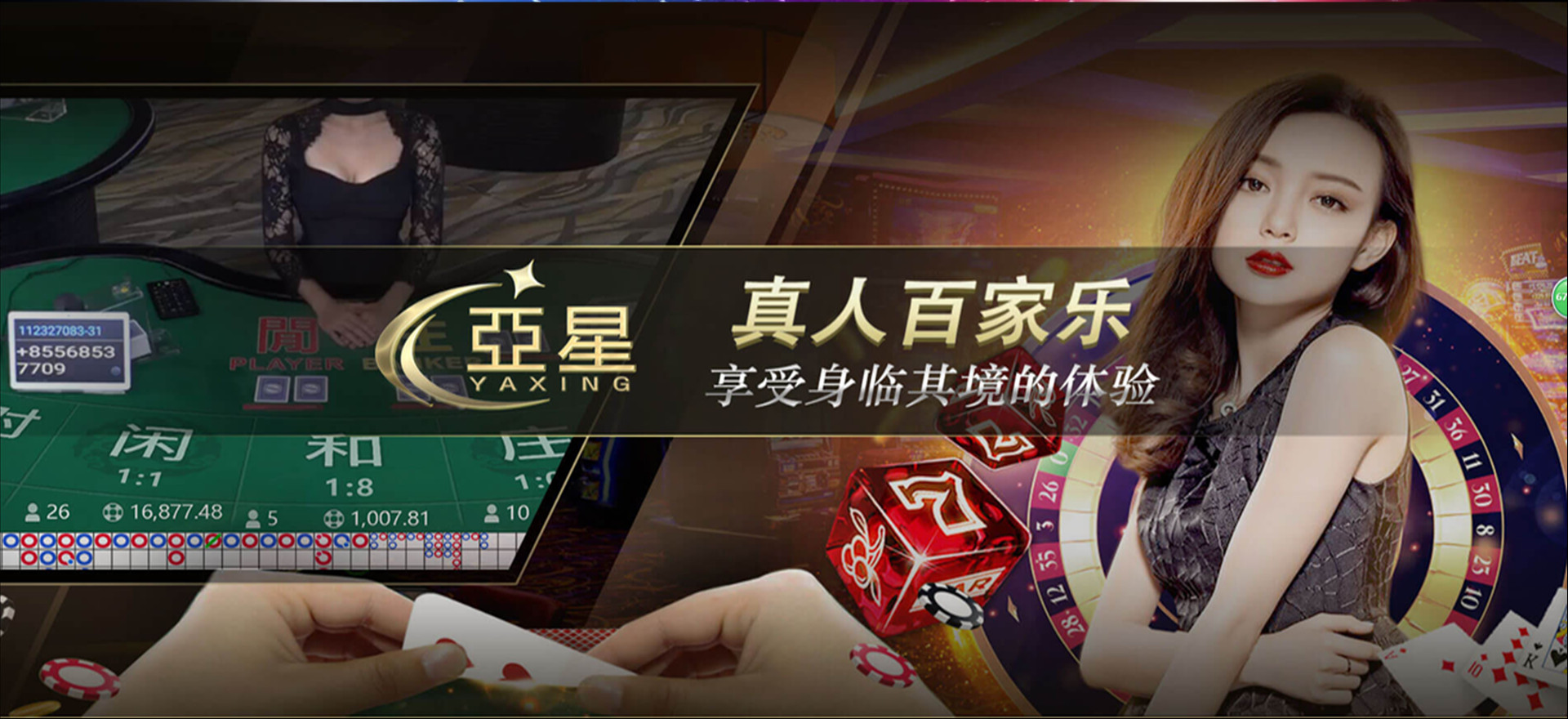 亚星会员网址